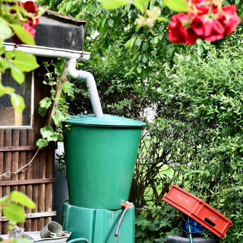 Proč smrdí dešťová voda v nádrži (a jak problém vyřešit)3